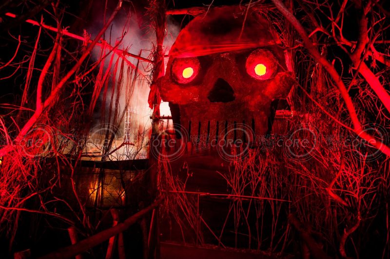 20934179_1715659488737911_6952133288060420204_o