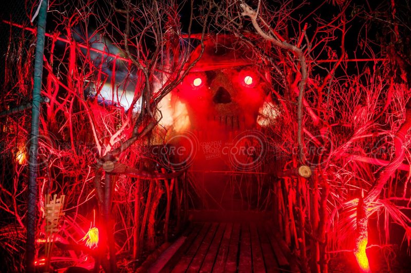 21055043_1715659862071207_6793026200793377698_o